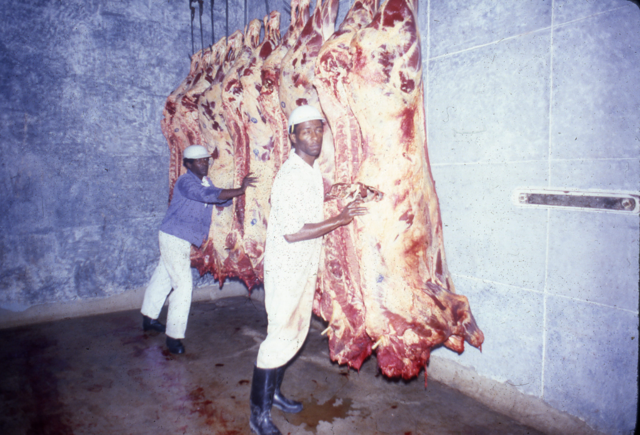 Slide 5: This shows African American men at Florida State Prison. They are wearing white clothes and are surrounded by carcasses of cattle hanging from large hooks.