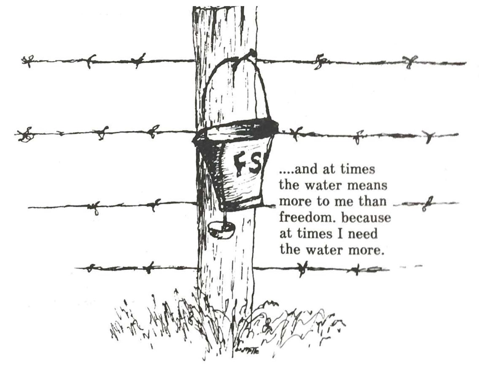 Slide 6: This is a cartoon from an inmate magazine, drawn in simple black lines. It shows a water bucket hanging from a fence post, and the bucket is labeled FSP for Florida State Prison.