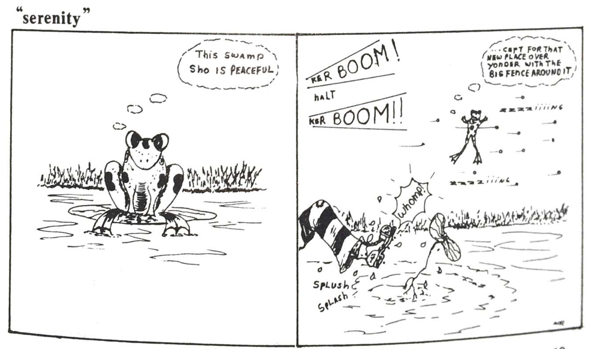 Slide 11: A line-drawn cartoon consisting of two panels. In the first panel, a frog sits in a swamp, thinking 'this swamp is so peaceful.' The second panel shows a prisoner escaping and depicts bullets and gunshots. The frog, jumping through the air, says ''cept for that new place over yonder with the big fence around it!